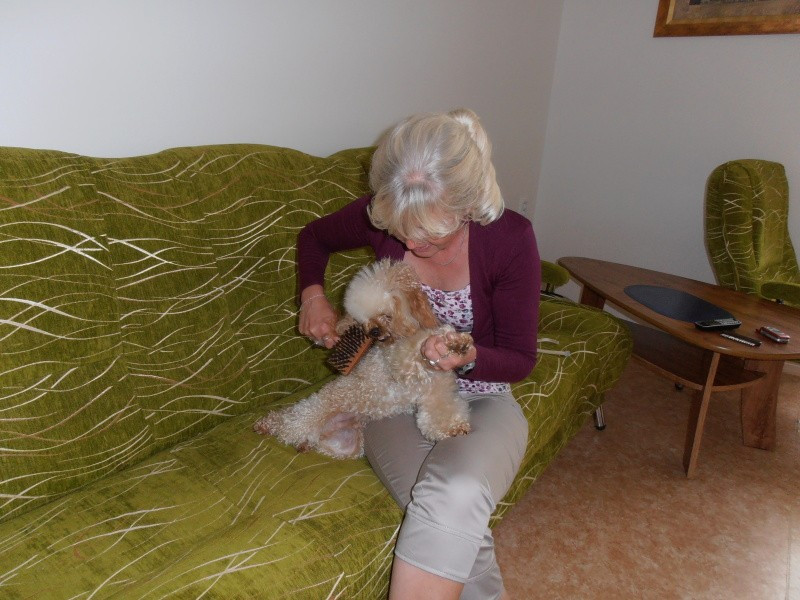 Návštěva z kadeřnického salónu